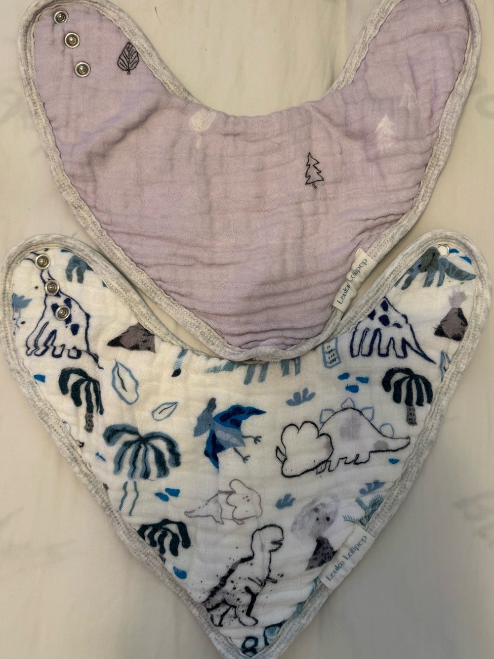 Lavender & Blue Dino Bandana Bibs - Soft Muslin Kids Bib Set